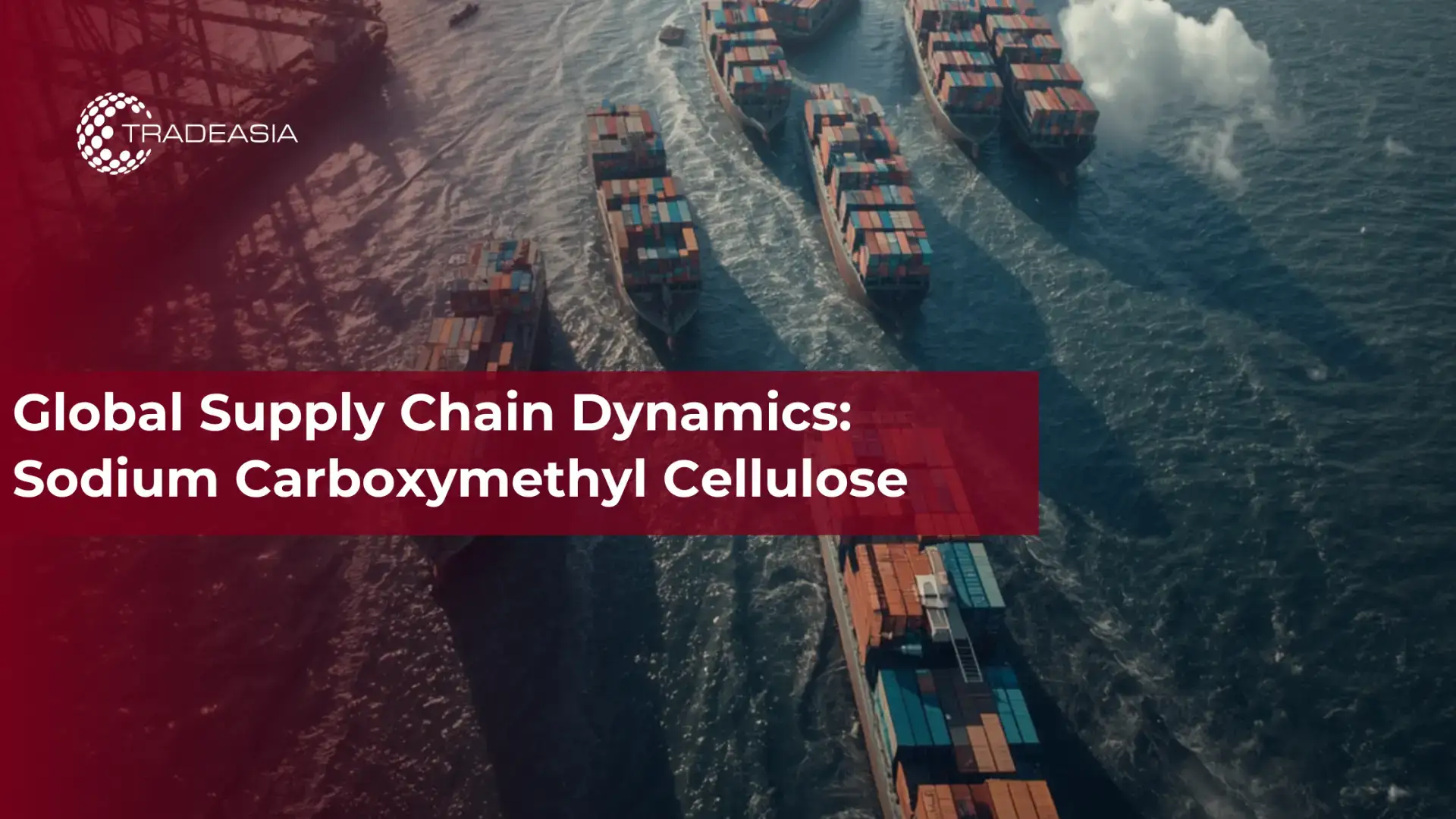 Global Supply Chain Dynamics: Sodium Carboxymethyl Cellulose